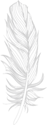 feather