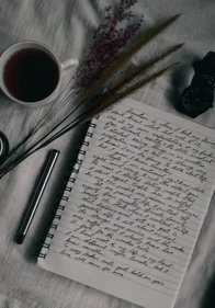 Novel Writing